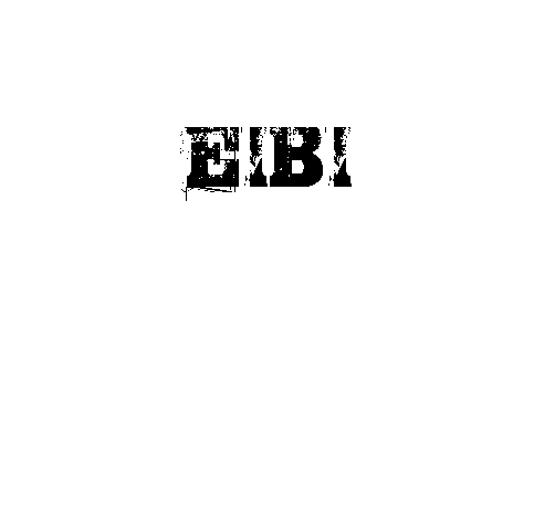 EIBI